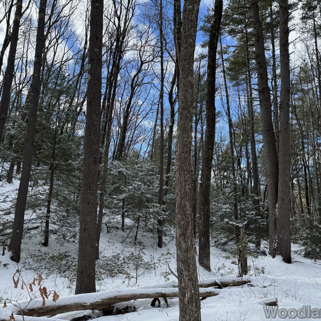 2026-01-01_112907_00