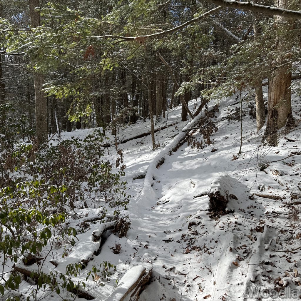 2026-01-01_113529_00