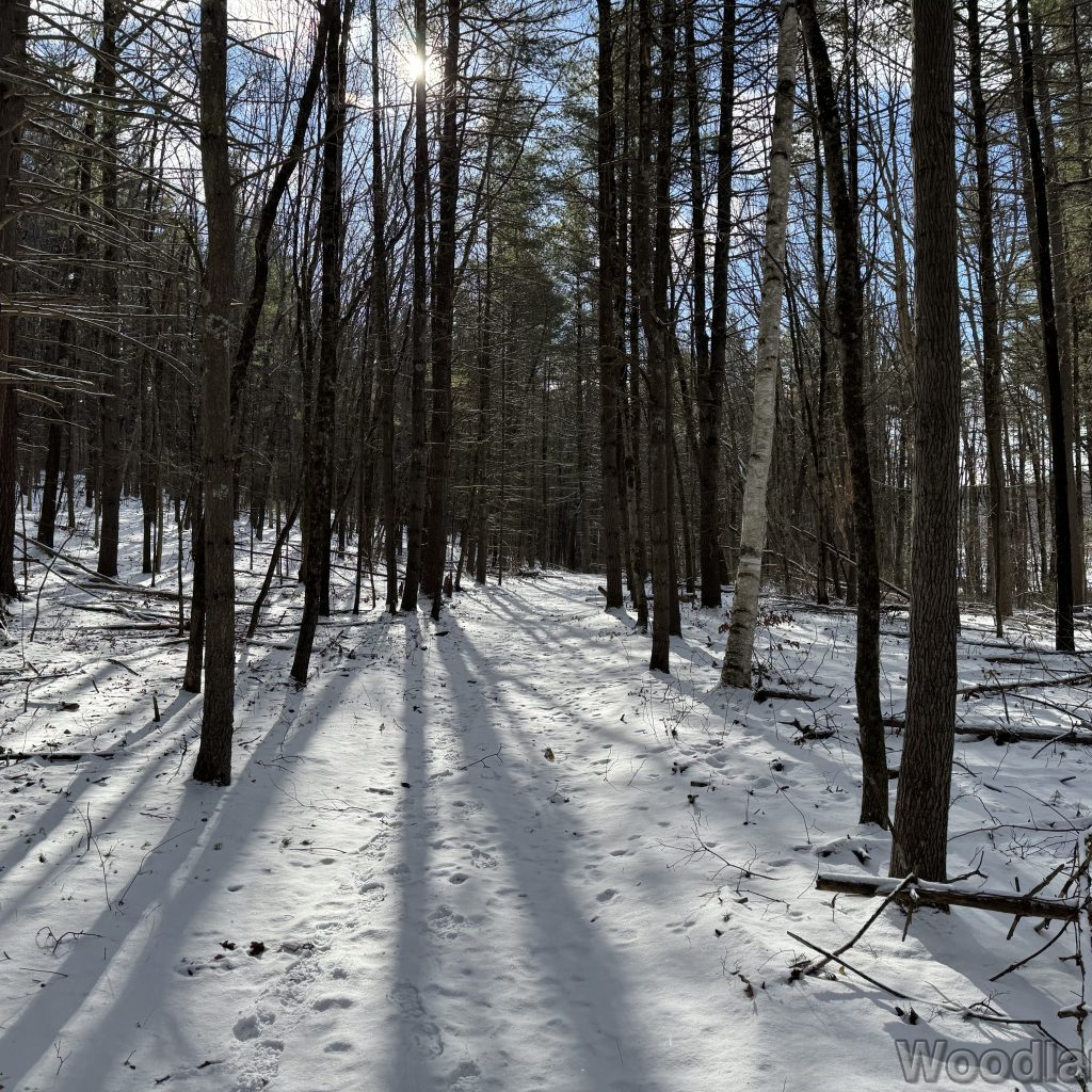 2026-01-01_120448_00