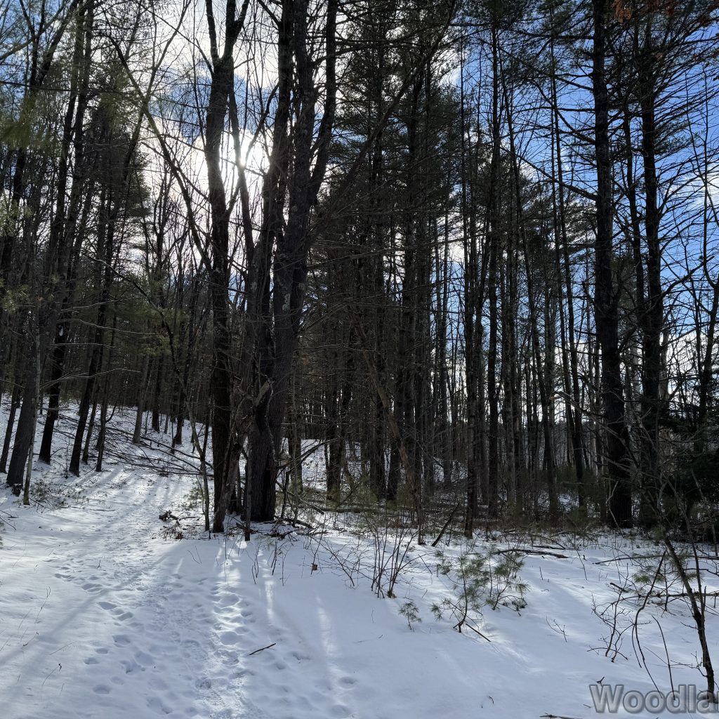 2026-01-01_120923_00