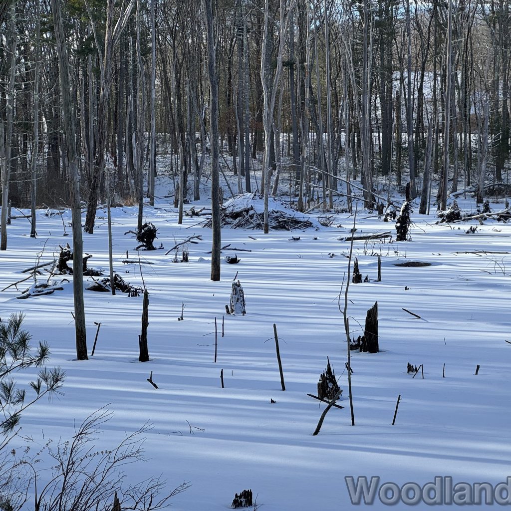 2026-01-01_122004_00