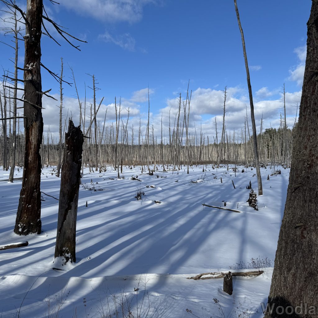 2026-01-01_122114_00