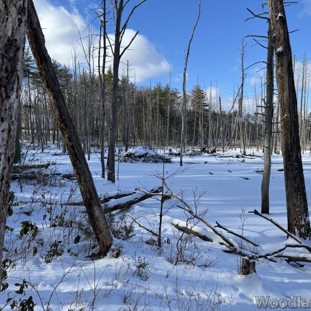 2026-01-01_122124_00