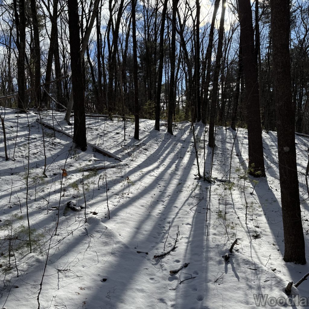 2026-01-01_122635_00