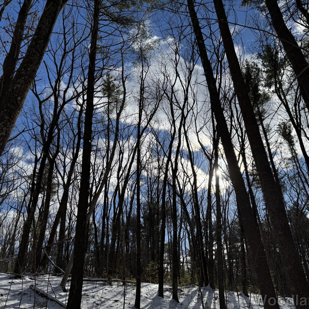 2026-01-01_122637_00