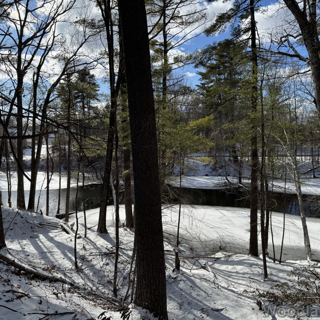 2026-01-01_123145_00