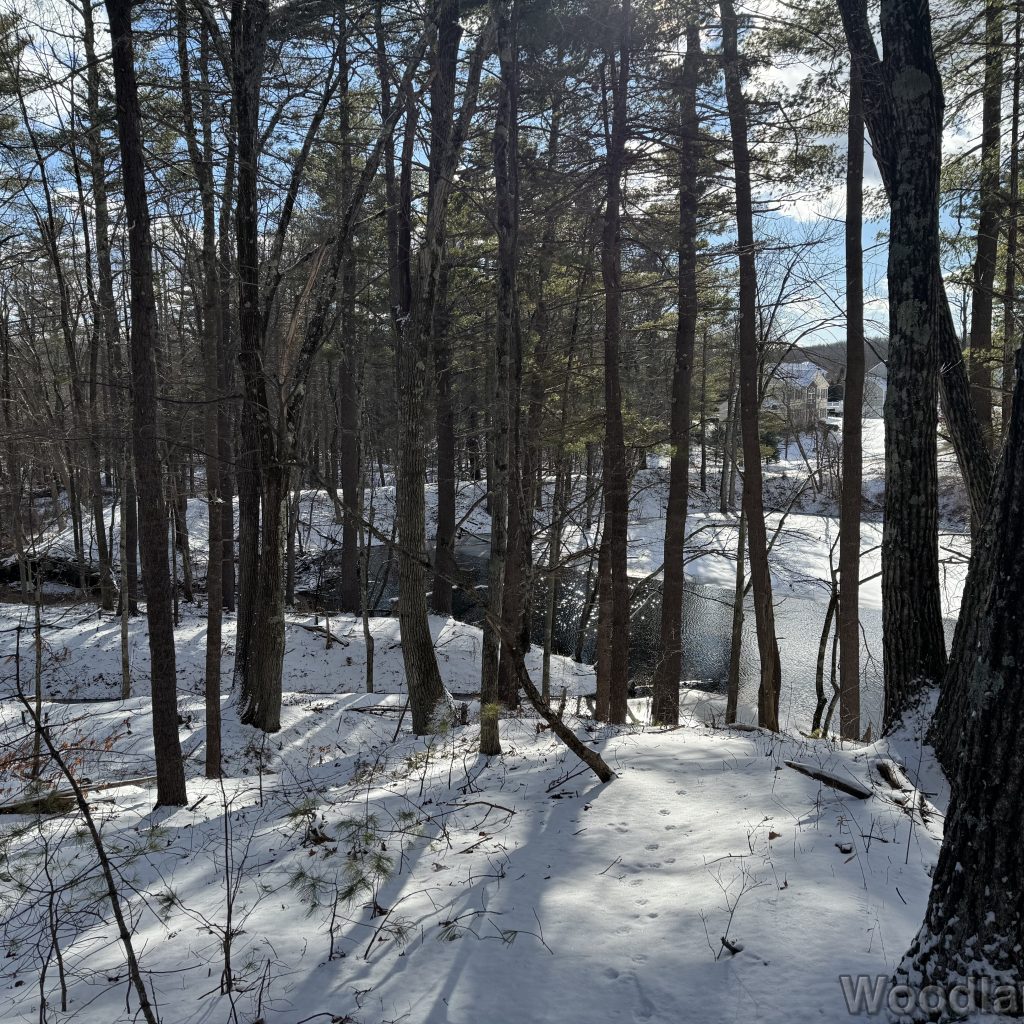 2026-01-01_123215_00