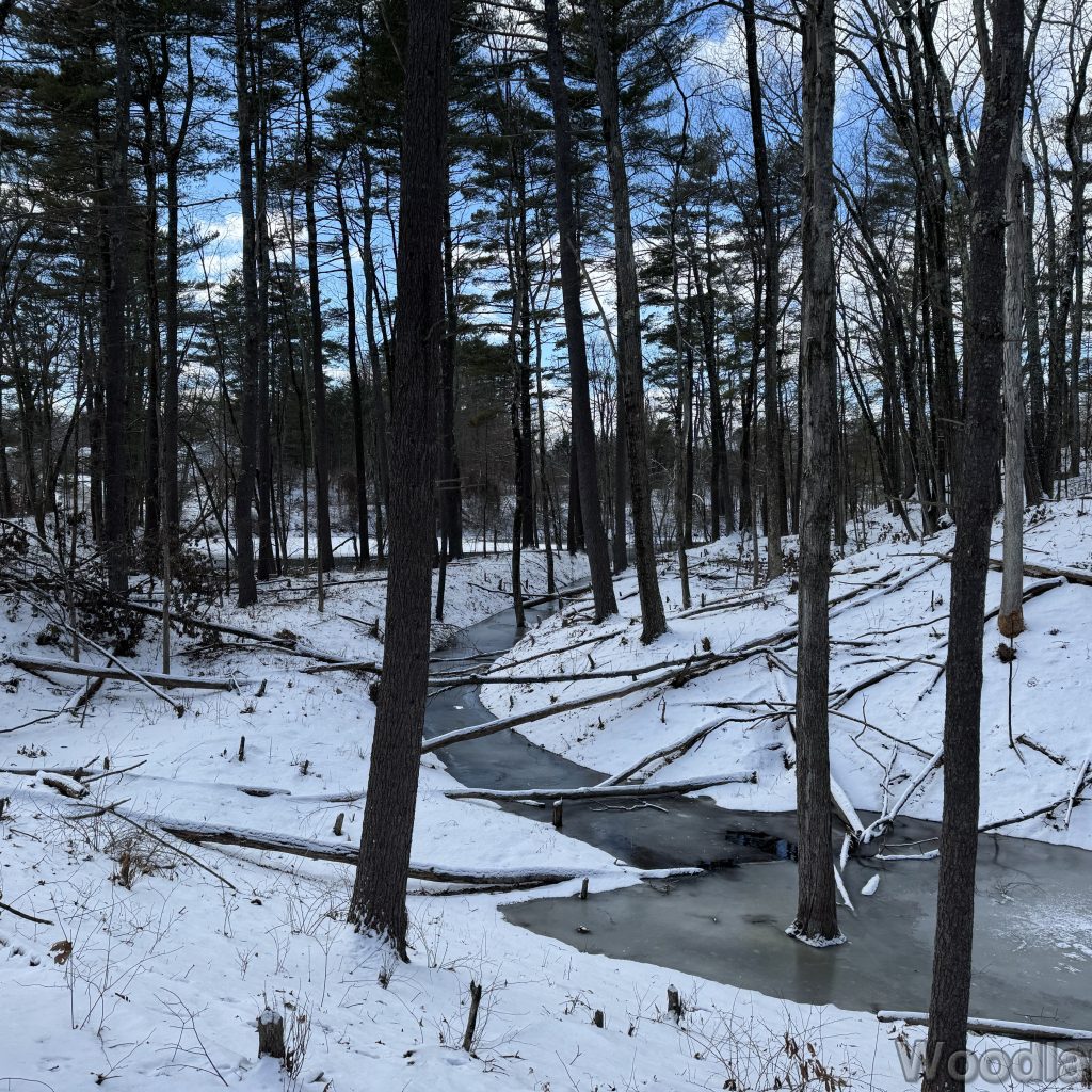 2026-01-01_123748_00