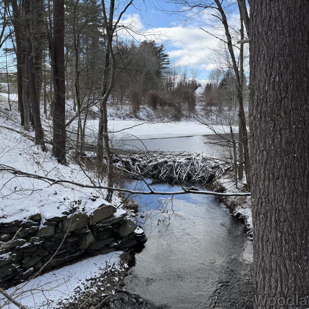 2026-01-01_123941_00