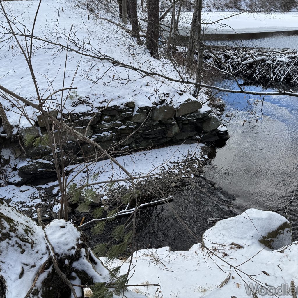 2026-01-01_124003_00