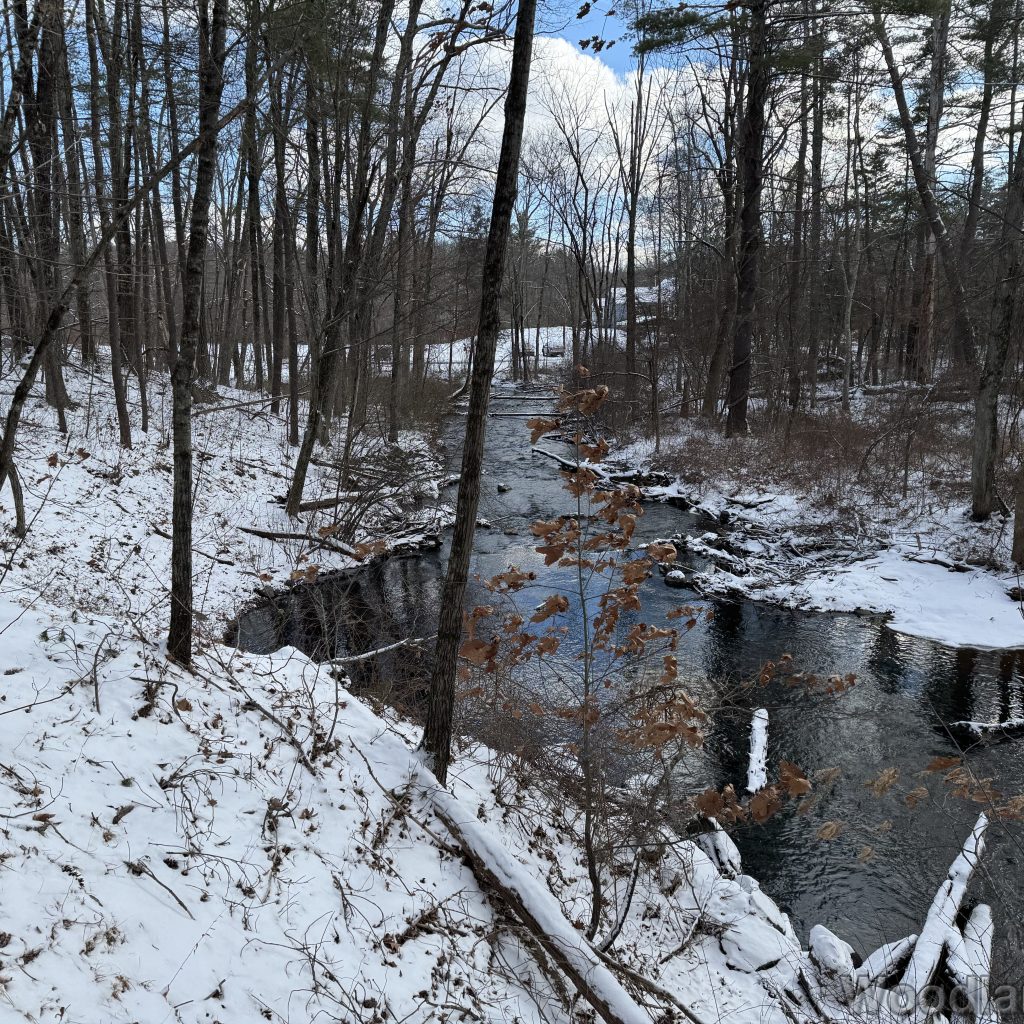 2026-01-01_124008_00