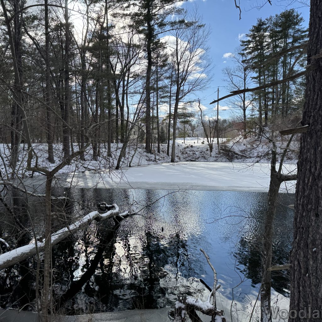 2026-01-01_124129_00