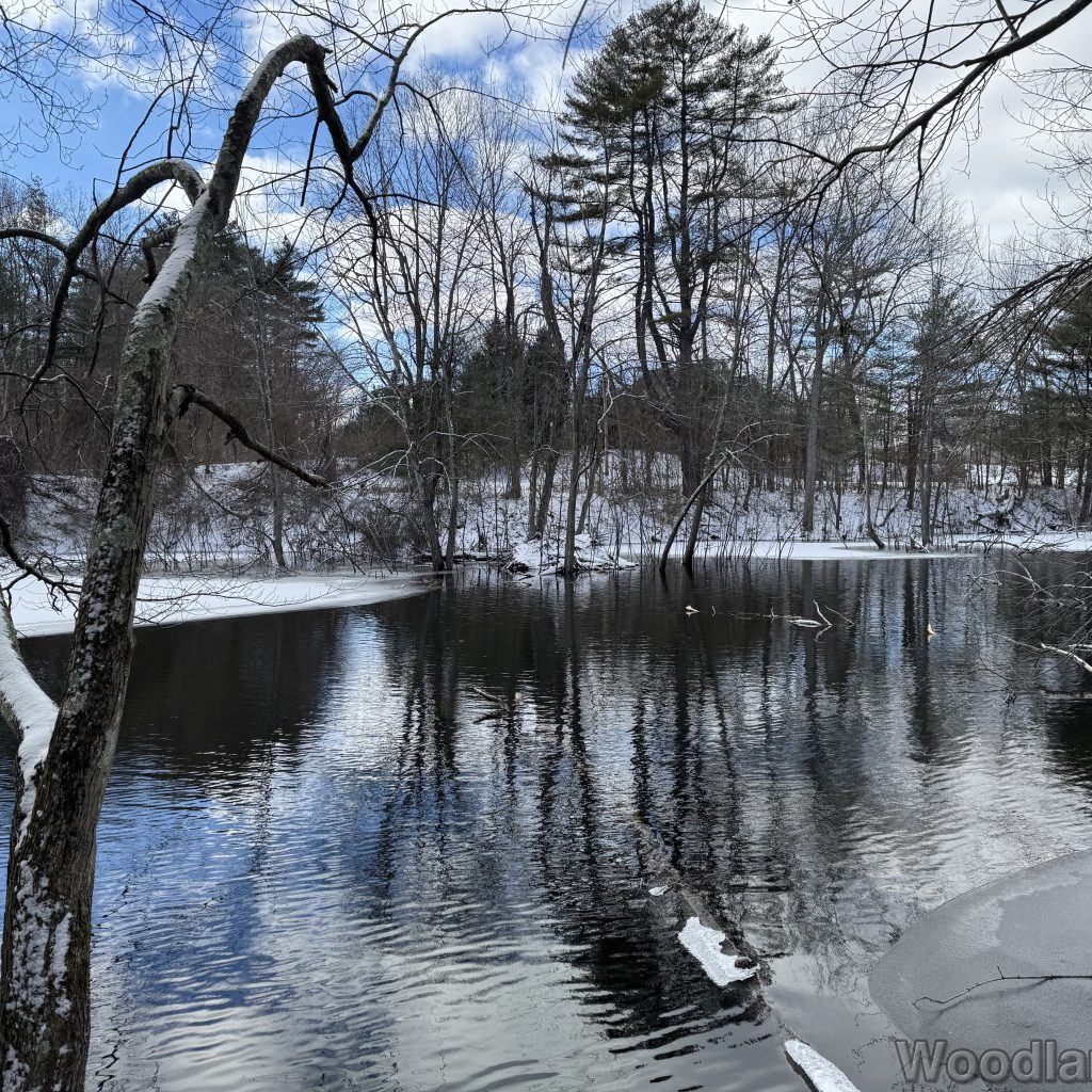 2026-01-01_124227_00