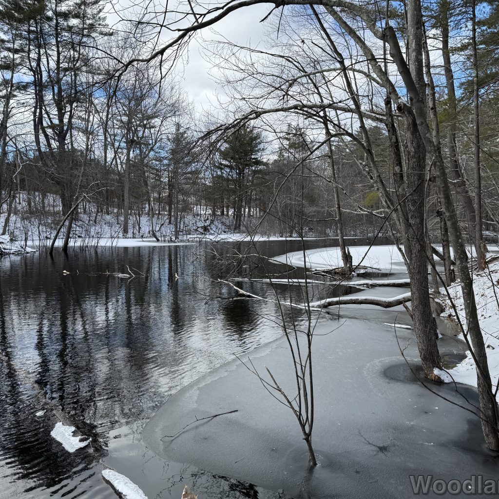 2026-01-01_124229_00