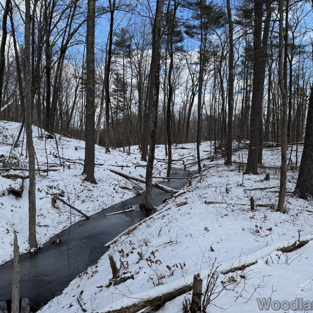 2026-01-01_124309_00