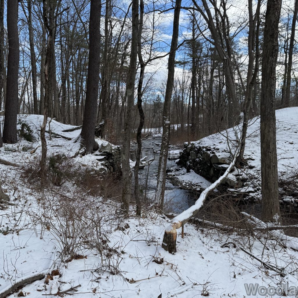 2026-01-01_124349_00