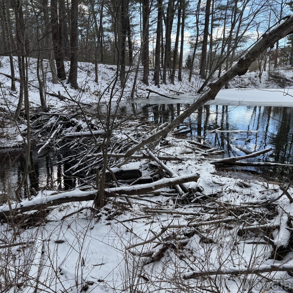 2026-01-01_124357_00