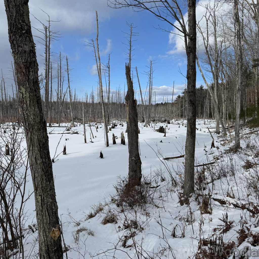 2026-01-01_130555_00