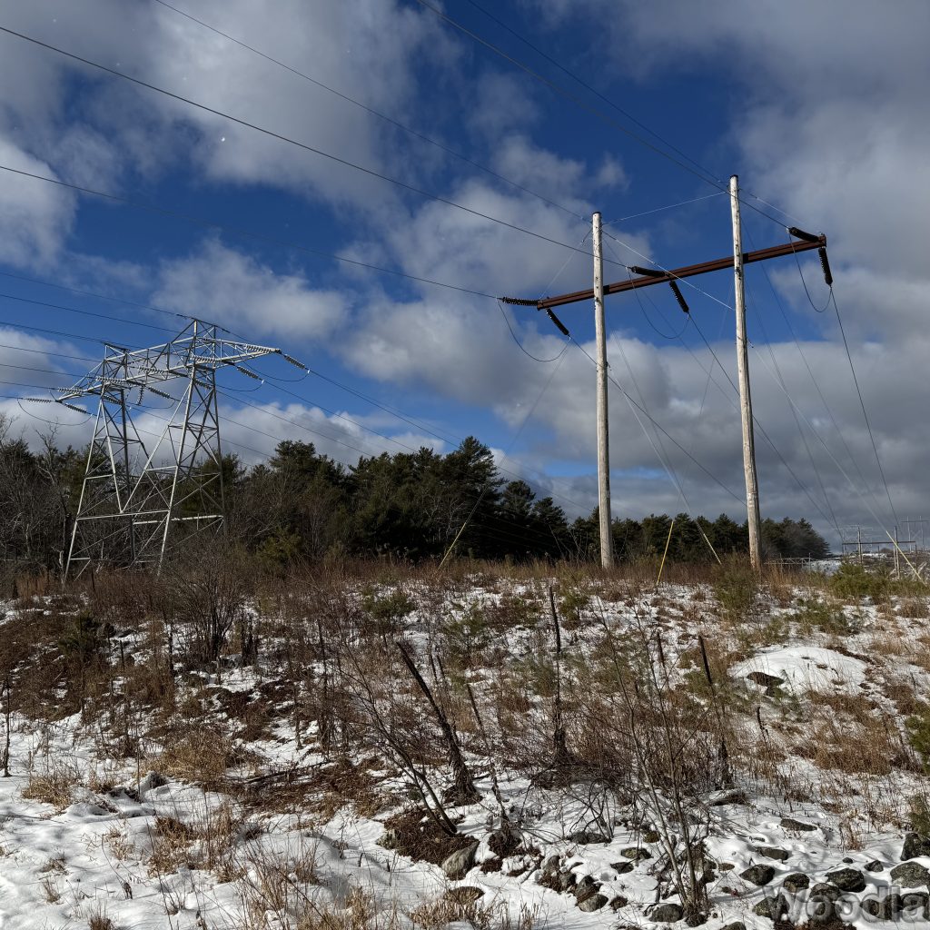 2026-01-04_110015_00