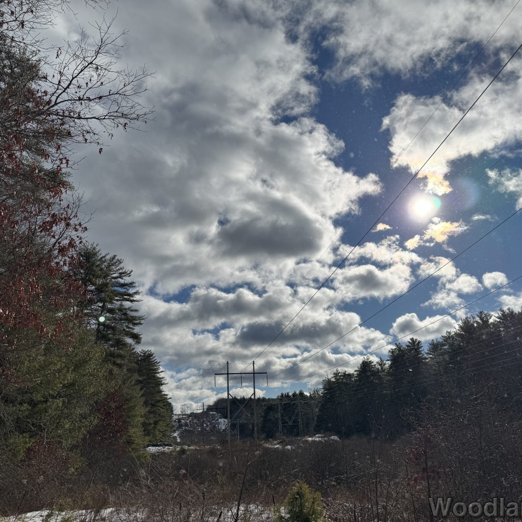 2026-01-04_110021_00