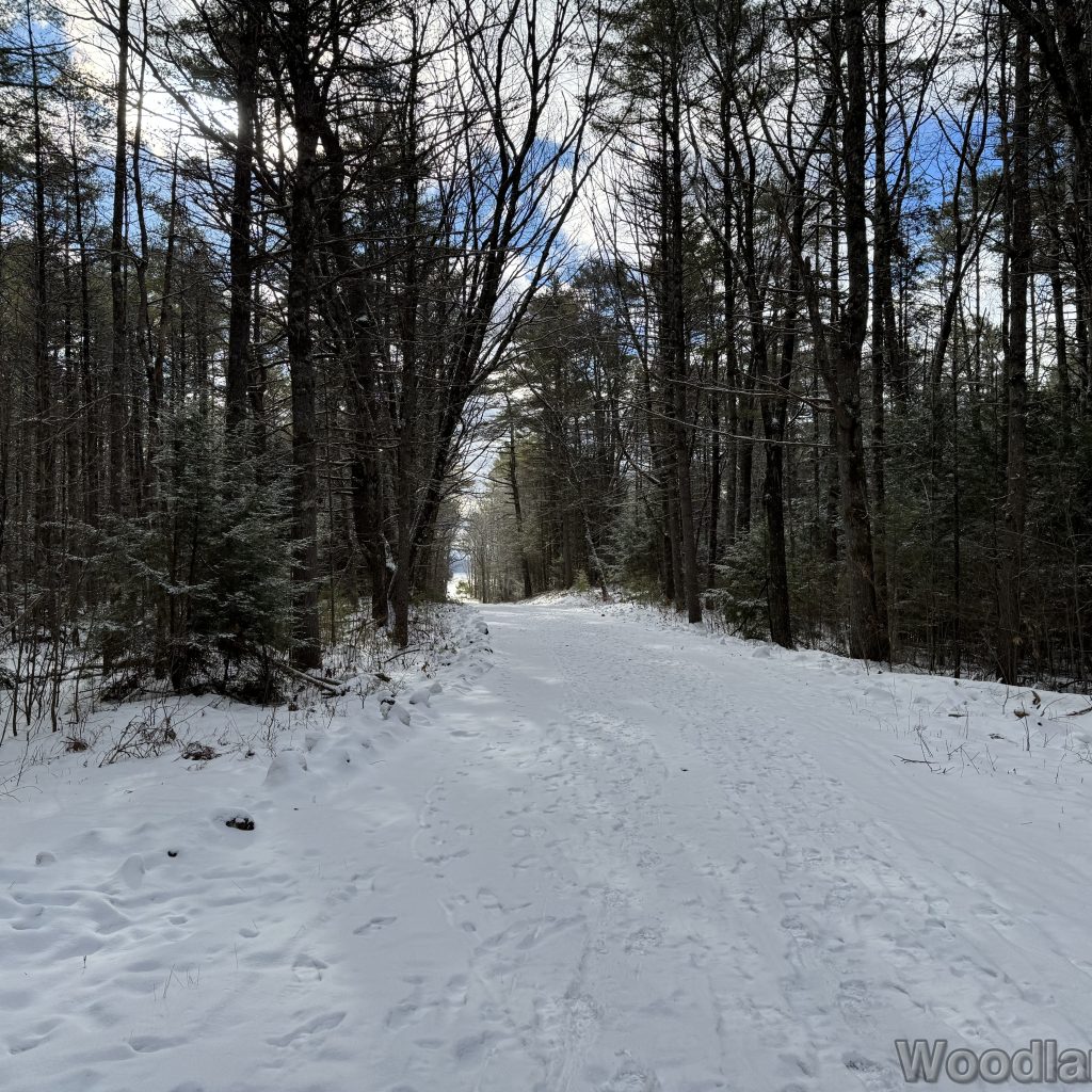 2026-01-04_110201_00