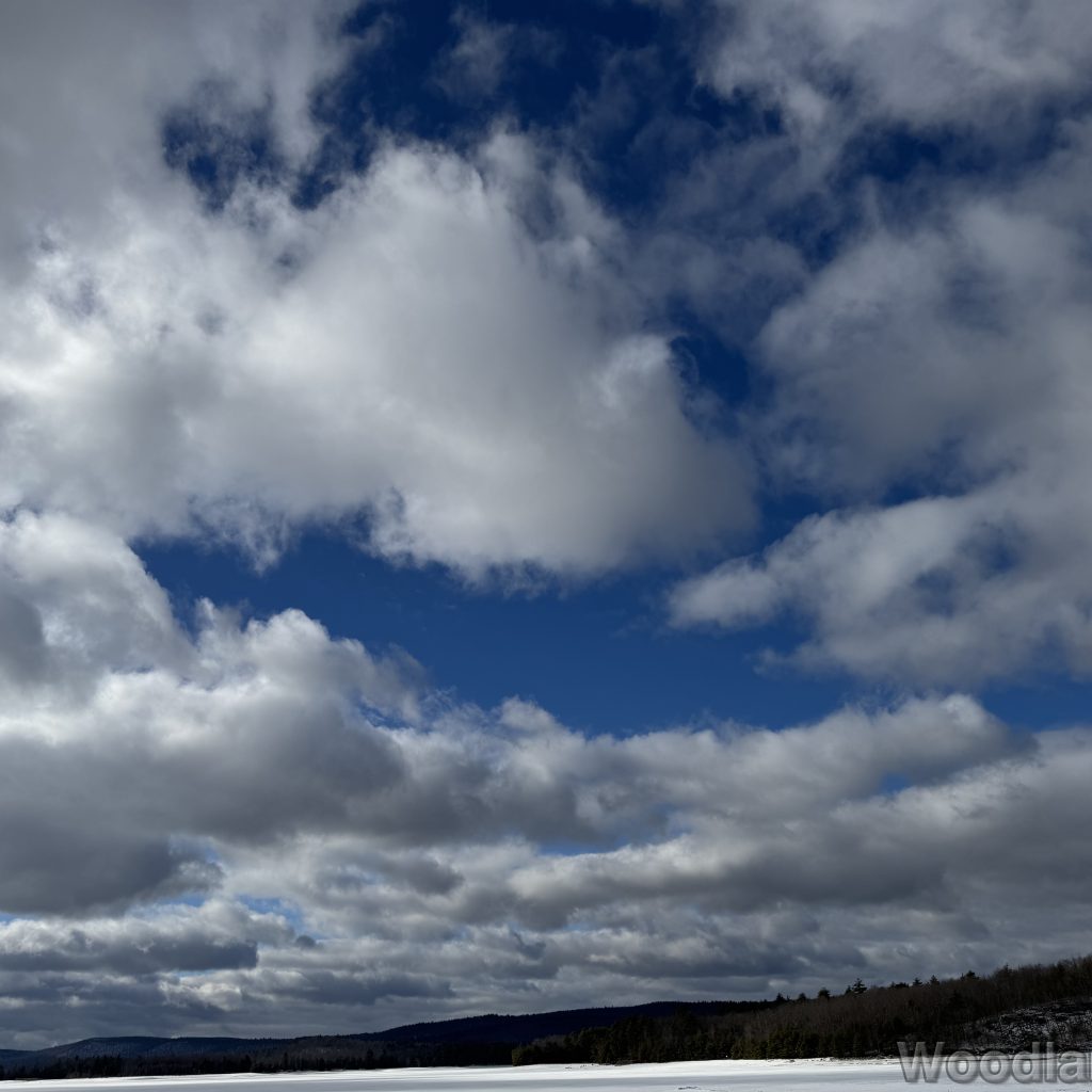 2026-01-04_110644_00