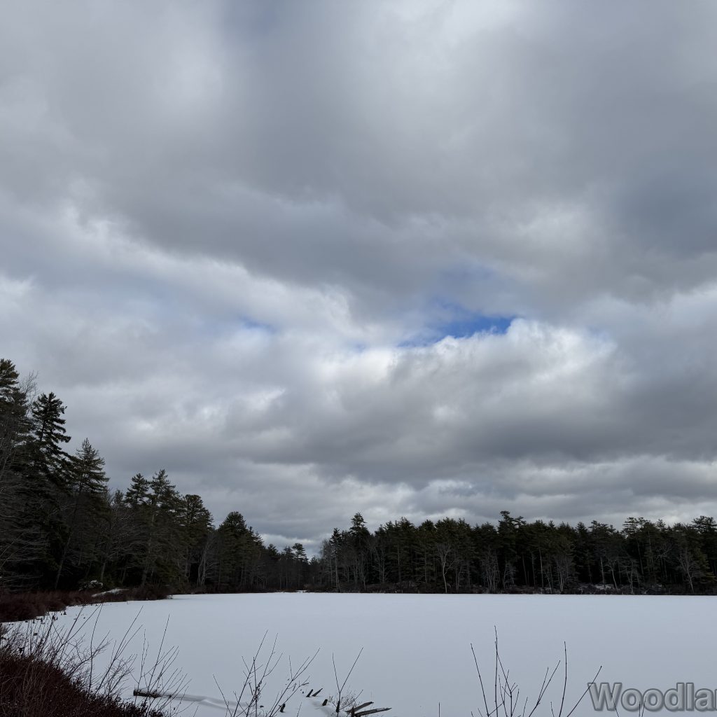 2026-01-04_112725_00