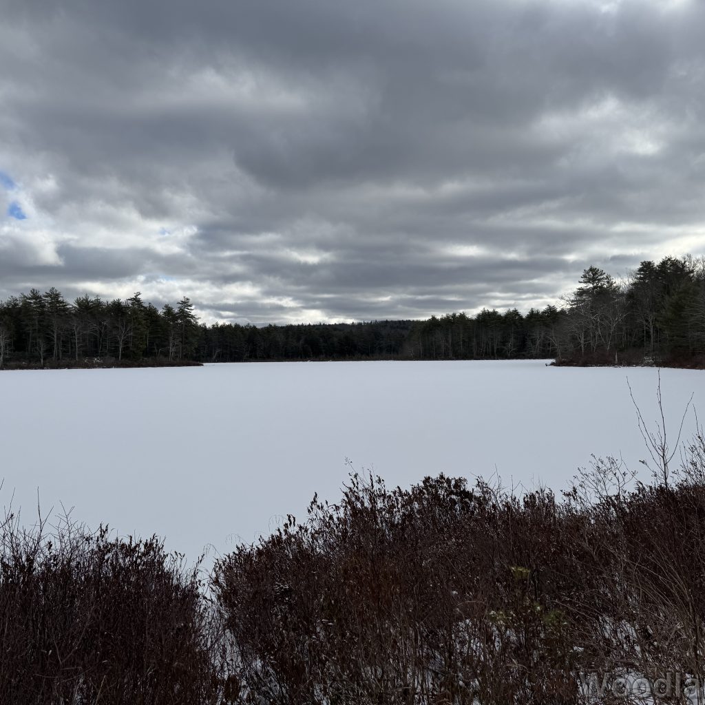 2026-01-04_112814_00