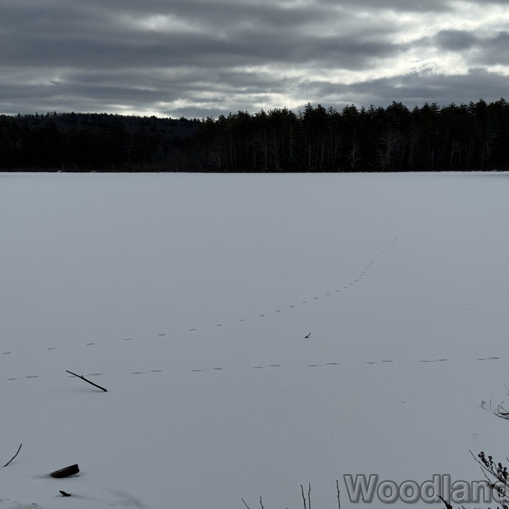 2026-01-04_112937_00