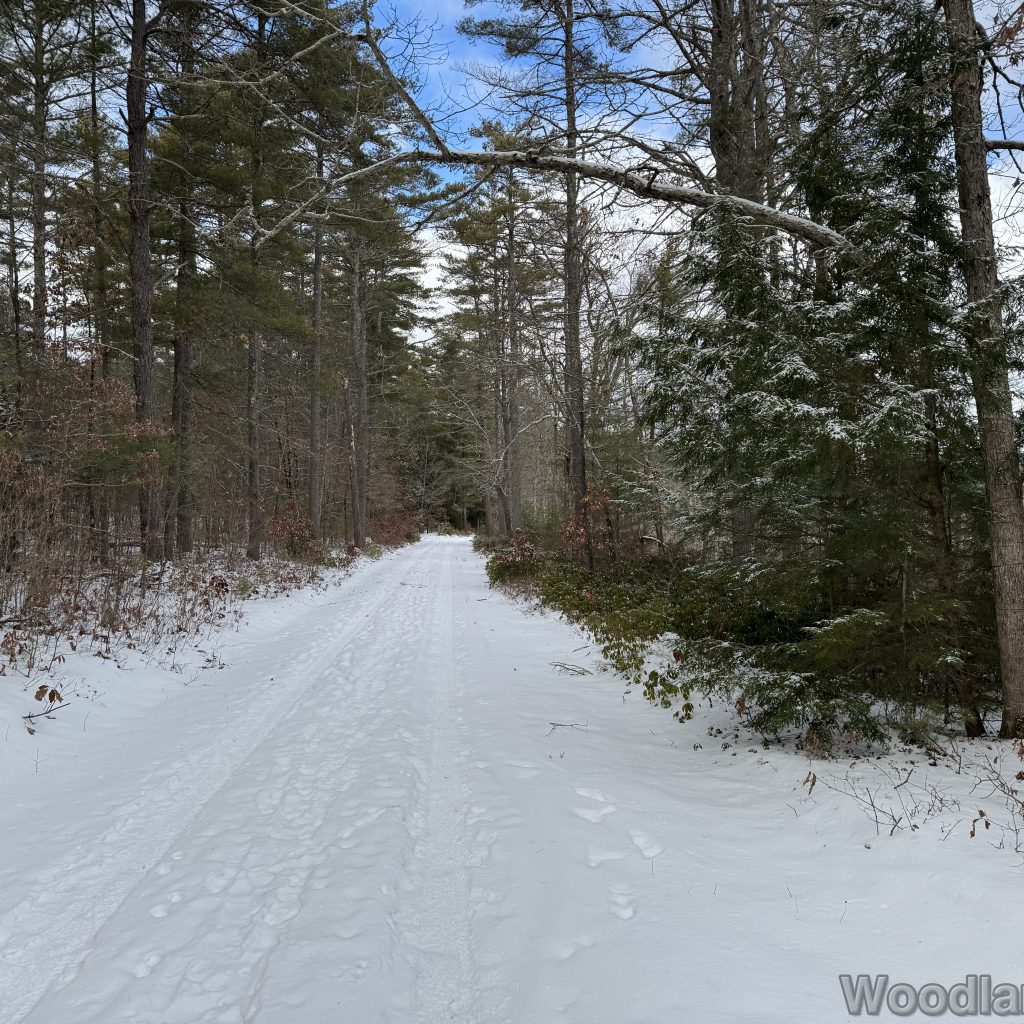 2026-01-04_113759_00