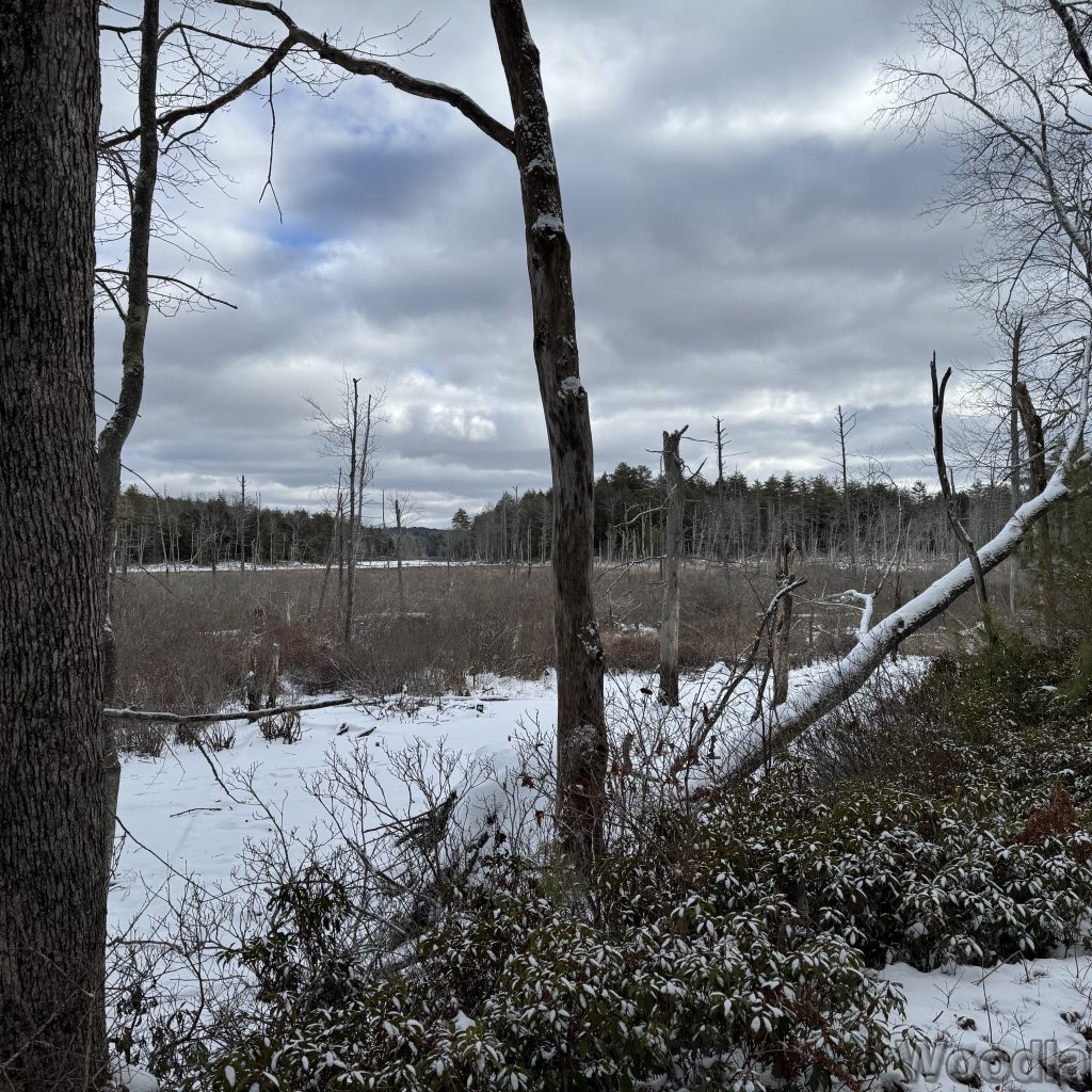 2026-01-04_113914_00