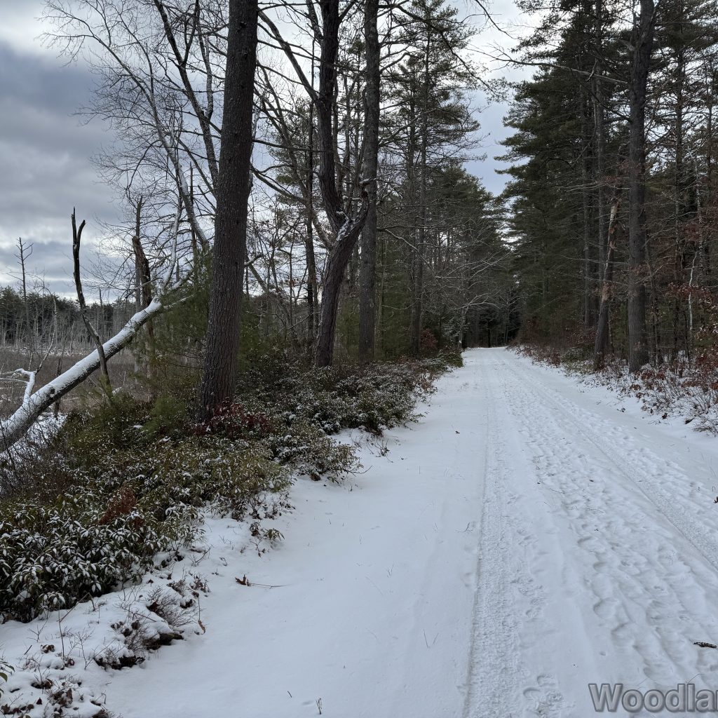 2026-01-04_113920_00