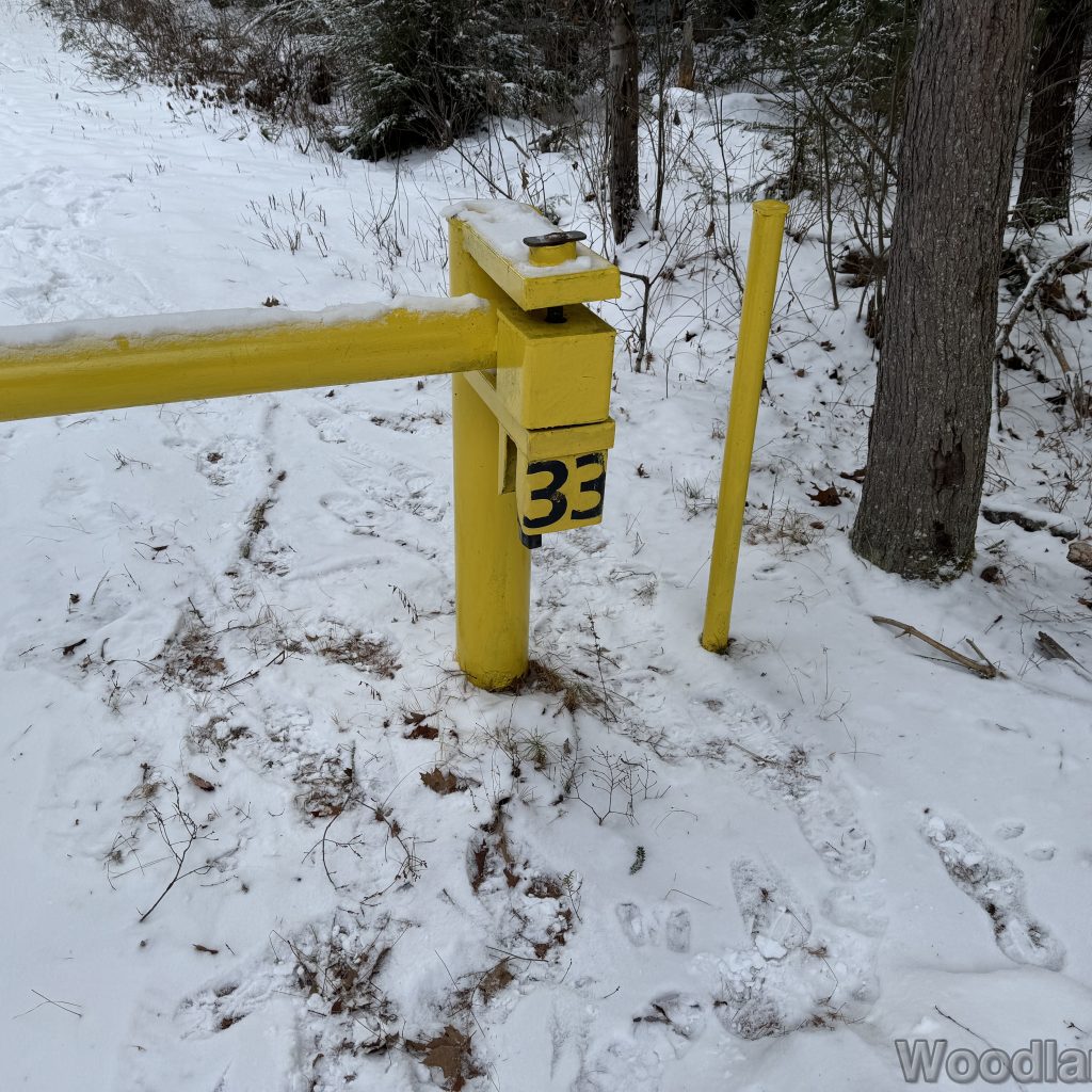 2026-01-04_114534_00