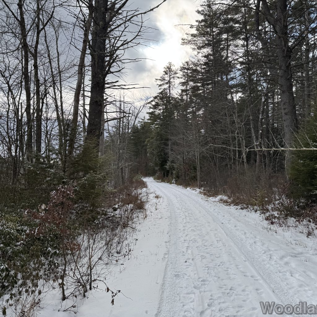 2026-01-04_114927_00