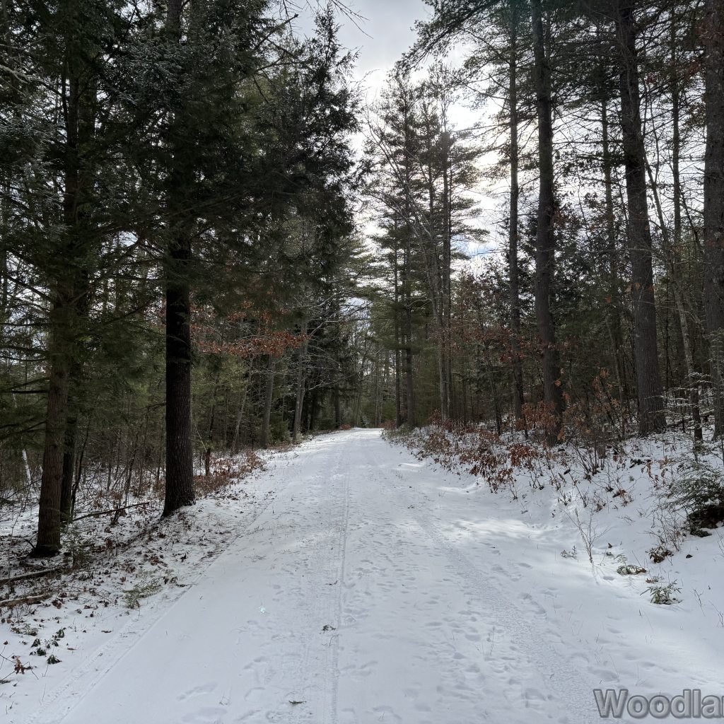 2026-01-04_115335_00