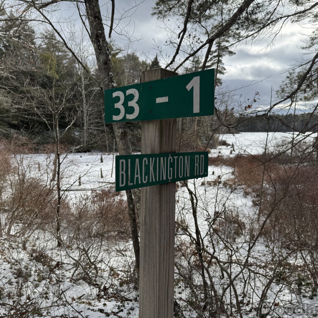 2026-01-04_115830_00