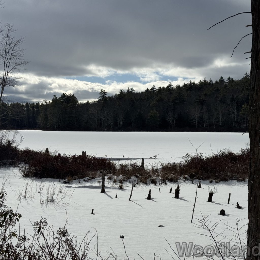 2026-01-04_115940_00