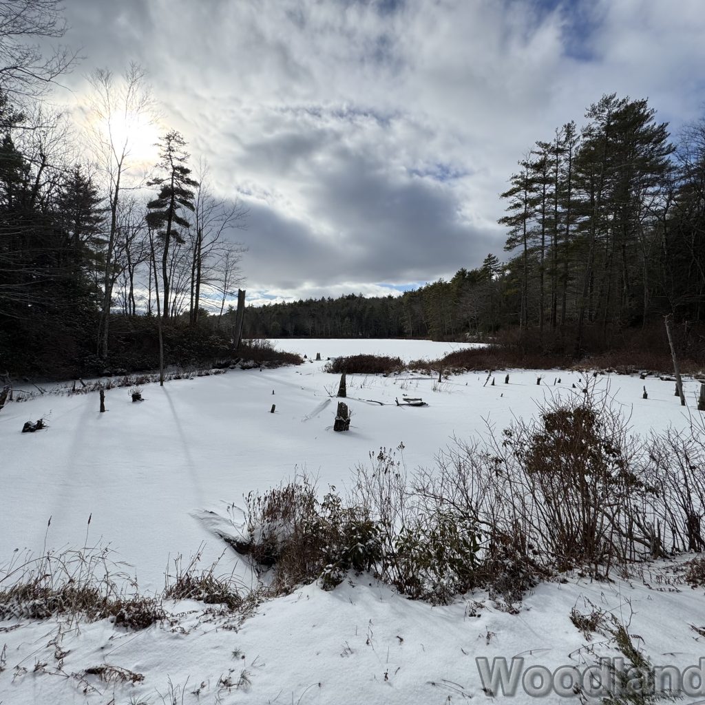 2026-01-04_120005_00