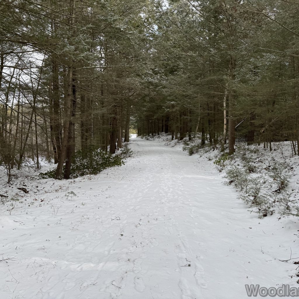 2026-01-04_120109_00