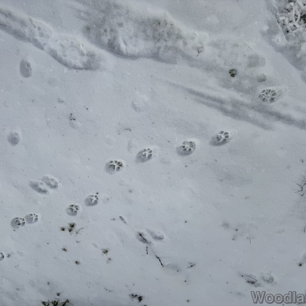 2026-01-04_120356_00