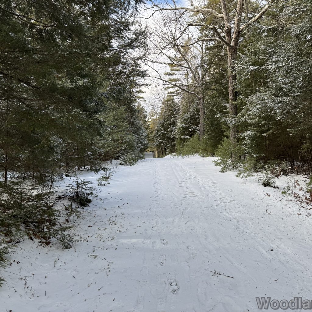 2026-01-04_120543_00