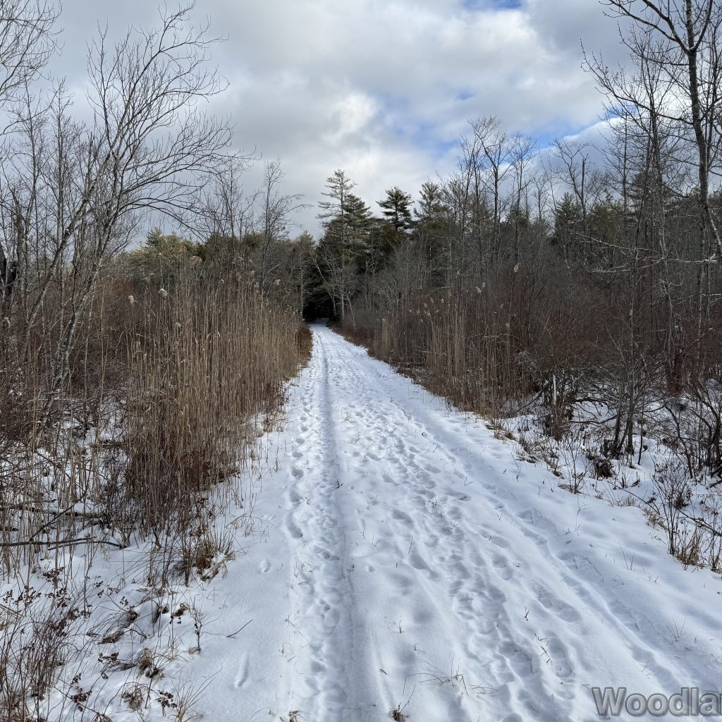 2026-01-04_121301_00