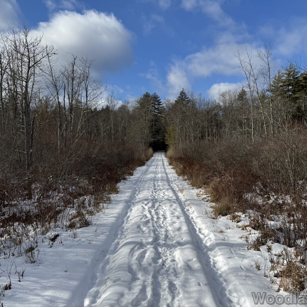 2026-01-04_121411_00