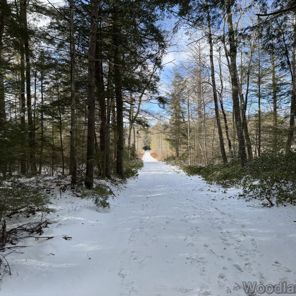 2026-01-04_121540_00