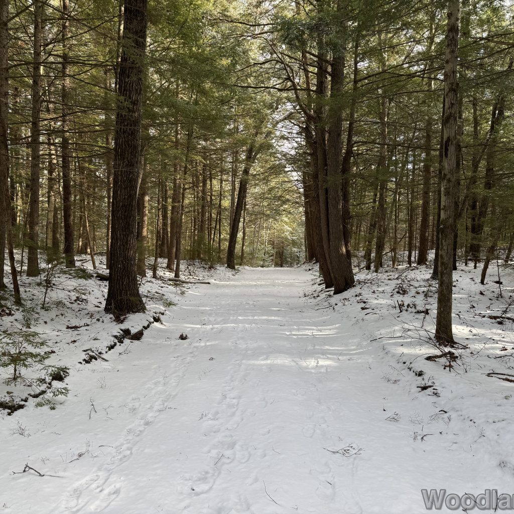 2026-01-04_121545_00