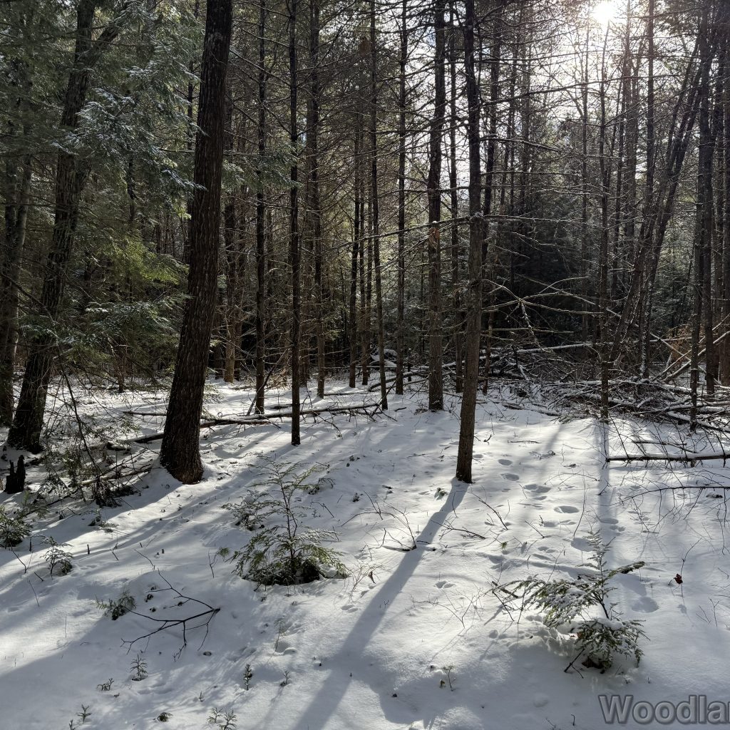 2026-01-04_121657_00