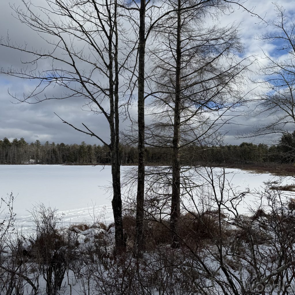 2026-01-04_122133_00