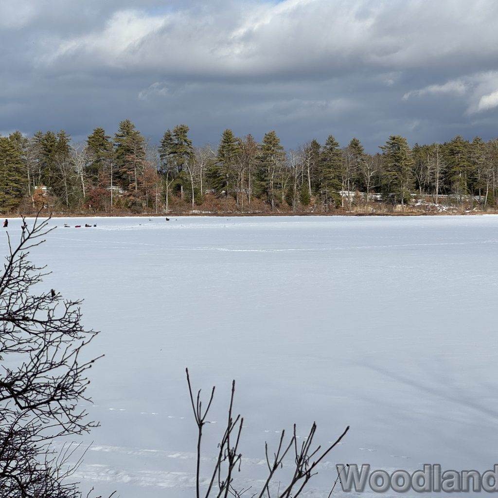 2026-01-04_122150_00