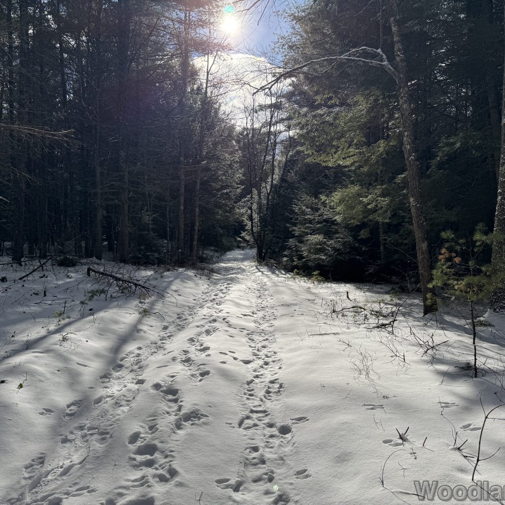 2026-01-04_122350_00