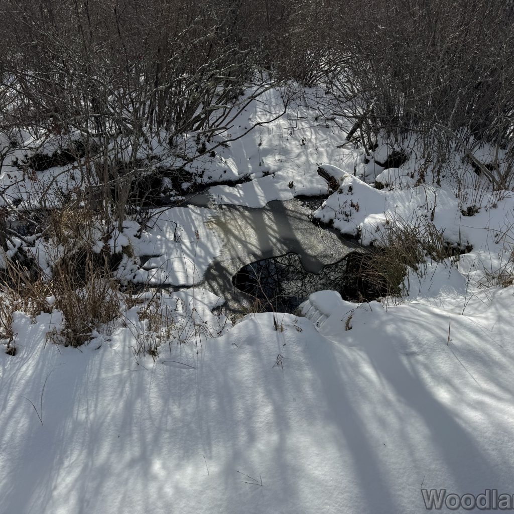 2026-01-04_122833_00